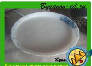 Rezepte für die Herstellung von Mandelmilch zu Hause mit Fotos