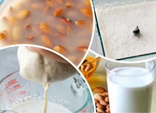 Wie man Mandelmilch zu Hause zubereitet und welche Vorteile sie für den menschlichen Körper hat. Kalorien aus Mandelmilch