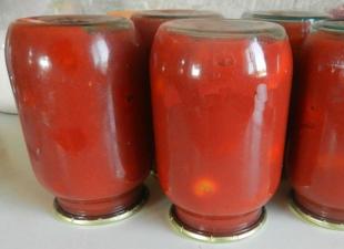 Pomodori nel loro stesso succo per l'inverno: le ricette più deliziose!