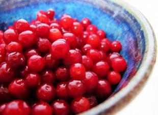 น้ำผลไม้จากแครนเบอร์รี่, lingonberries, viburnum - สูตรและคุณประโยชน์ทีละขั้นตอน