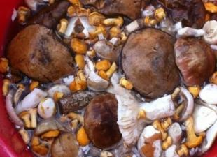 Hot salted mushrooms
