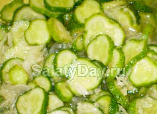 How to prepare pickled cucumber slices for the winter: the best recipes Recipe for cucumber slices for the winter