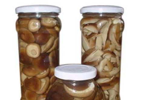 Pugni o ghiozzi - funghi dal valore insolito Ricetta per ghiozzi in salamoia