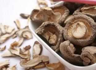Piatti Shiitake: funghi esotici