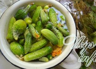 Recipes for pickled crispy gherkins for the winter as in a store and shelf life