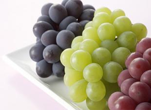 Скільки винограду потрібно на літр вина?
