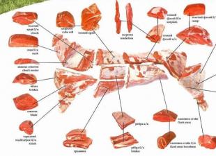 Da quale parte della carne è fatta?